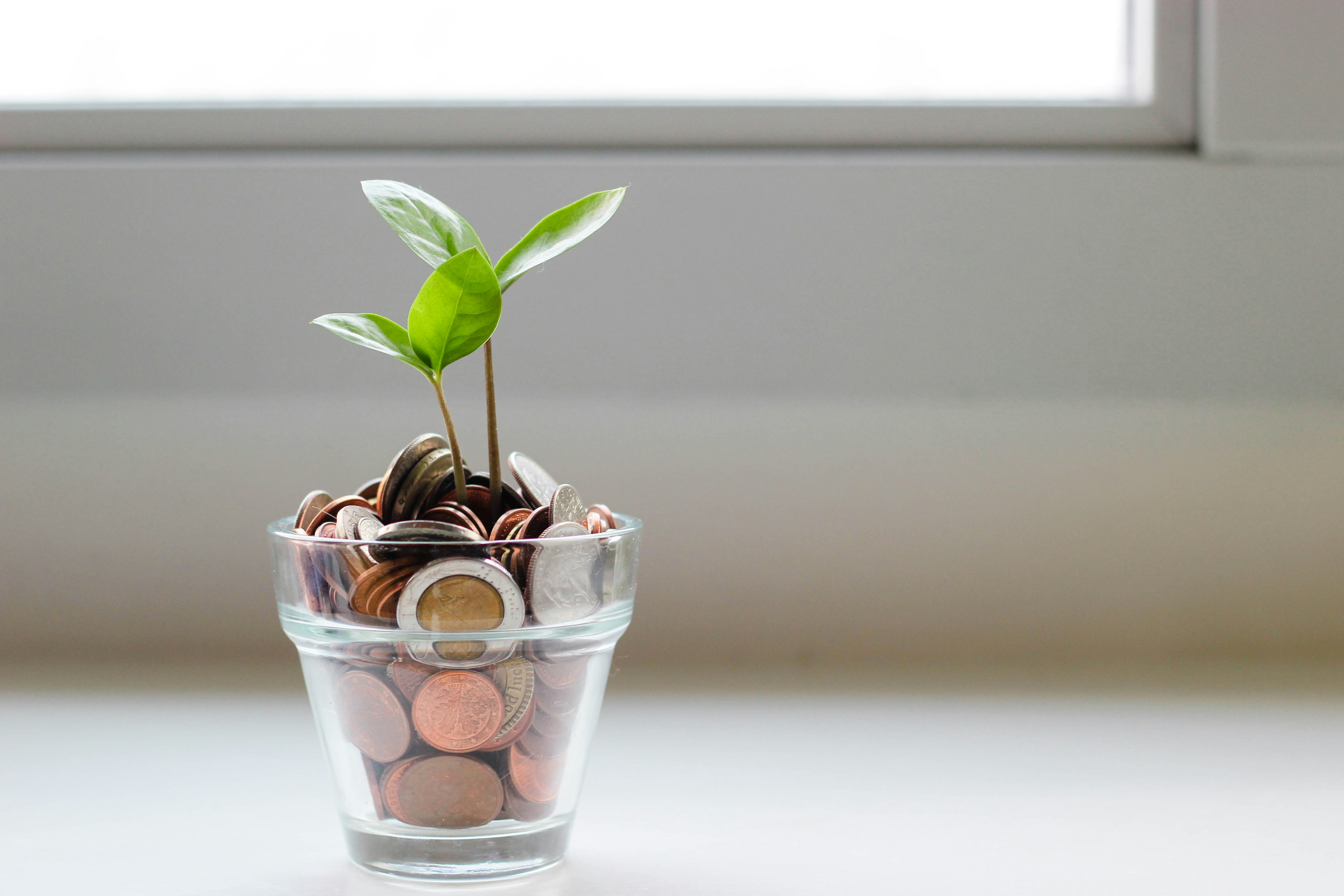 Plant growing from a glass of coins symbolizing savings for a home purchase